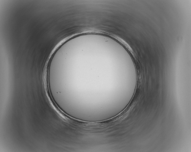 X0000113011391200908270931
