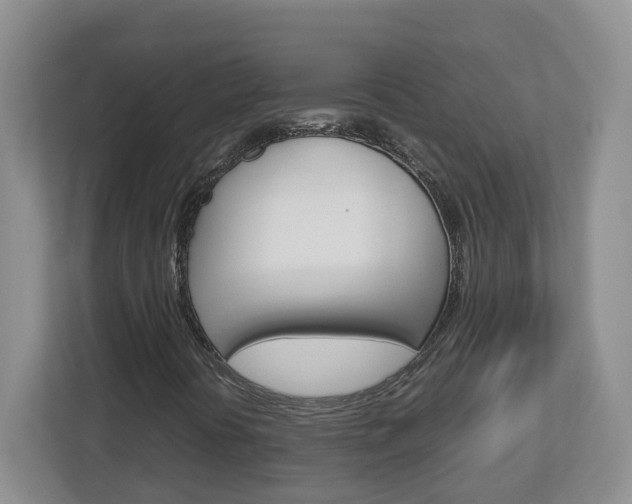 X0000113011394200908270930