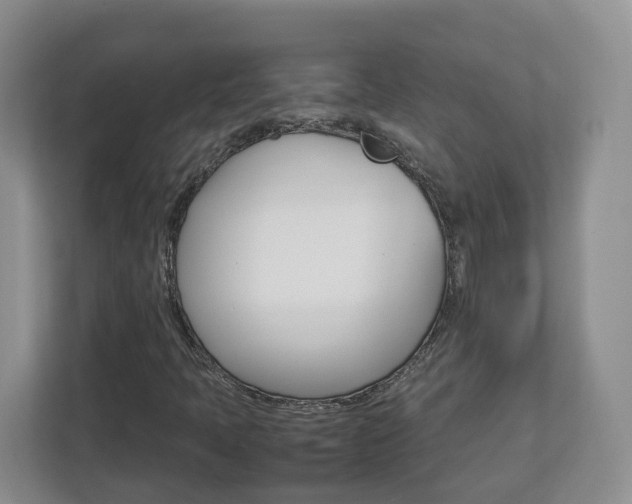 X0000113011397200908270930