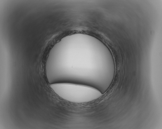 X0000113011398200908270930