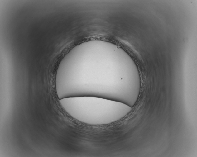 X0000113011399200908270930