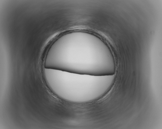 X0000113011406200908270930