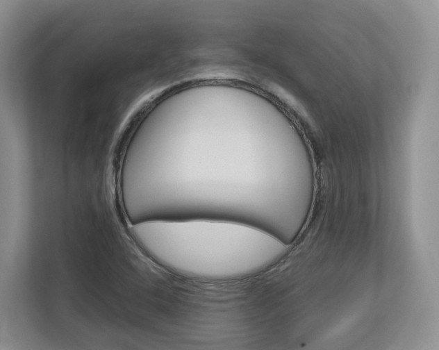 X0000113011408200908270930