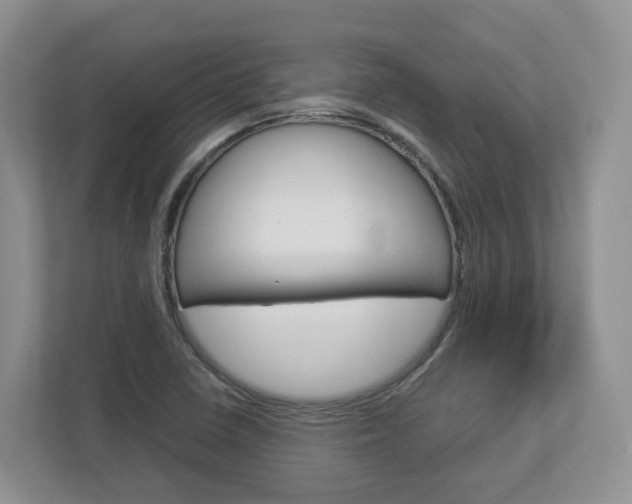 X0000113011410200908270930