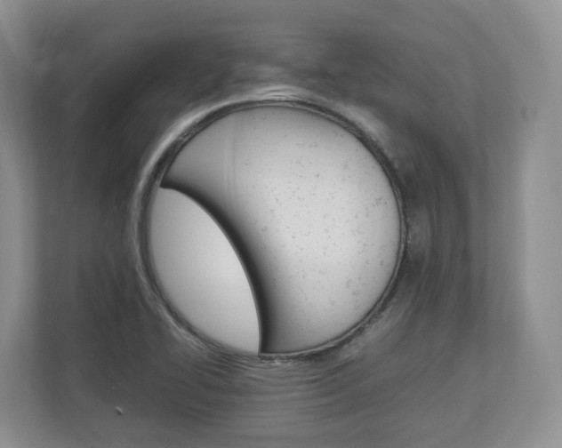 X0000113011414200908270930