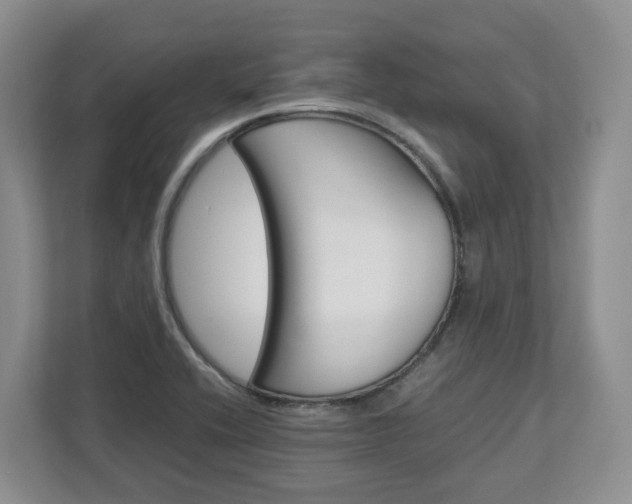 X0000113011416200908270930