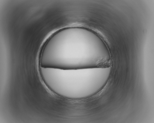 X0000113011422200908270930