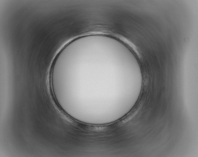 X0000113011423200908270931
