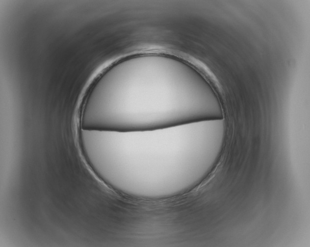 X0000113011424200908270931