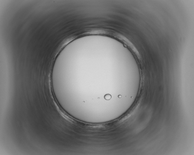 X0000113011425200908270931