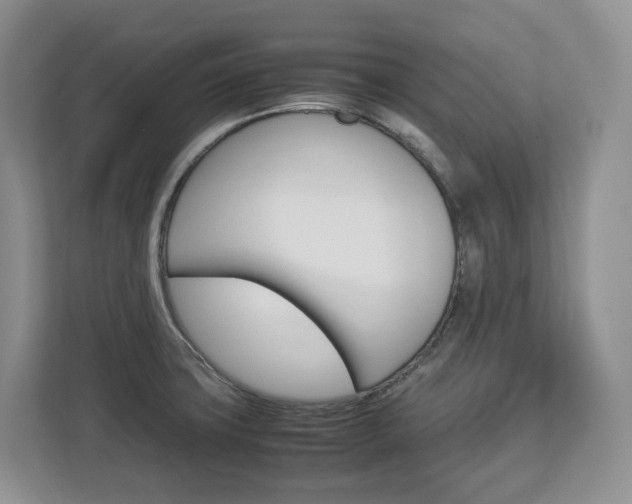 X0000113011427200908270931