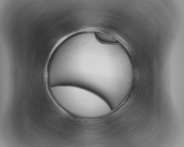 X0000113011428200908270931