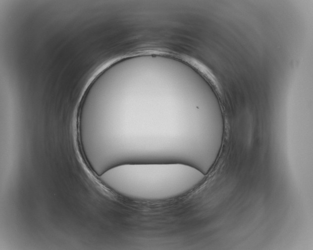 X0000113011431200908270931