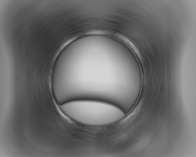 X0000113011433200908270931