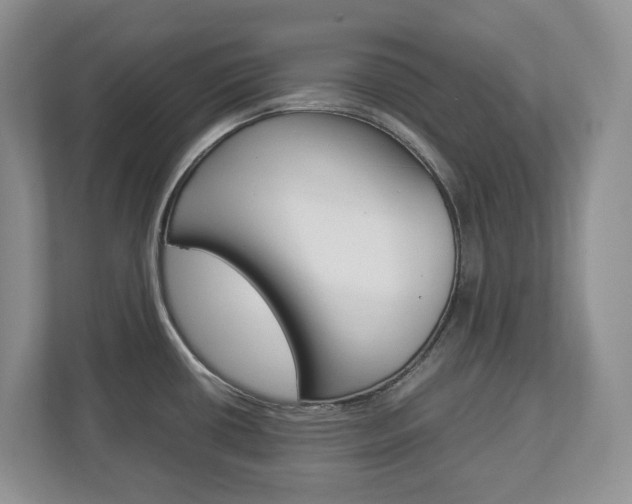 X0000113011434200908270931
