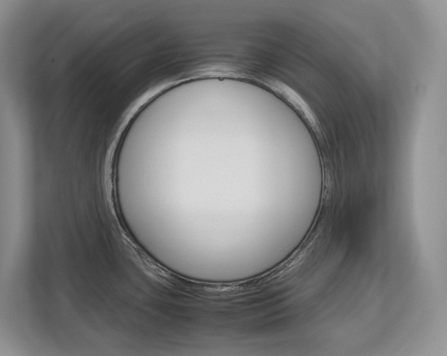 X0000113011435200908270931