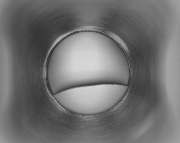 X0000113011436200908270931