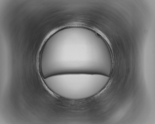 X0000113011437200908270931