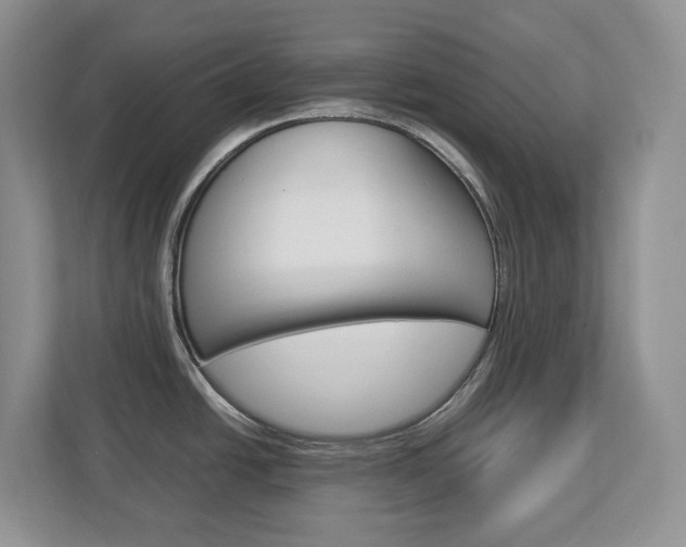 X0000113011438200908270931