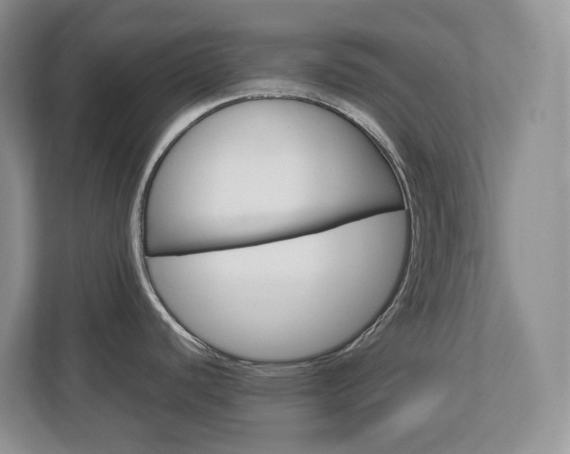X0000113011440200908270931