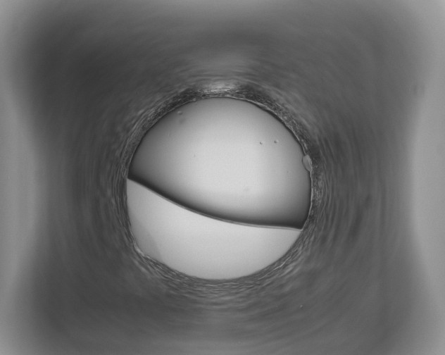X0000113011441200908270930