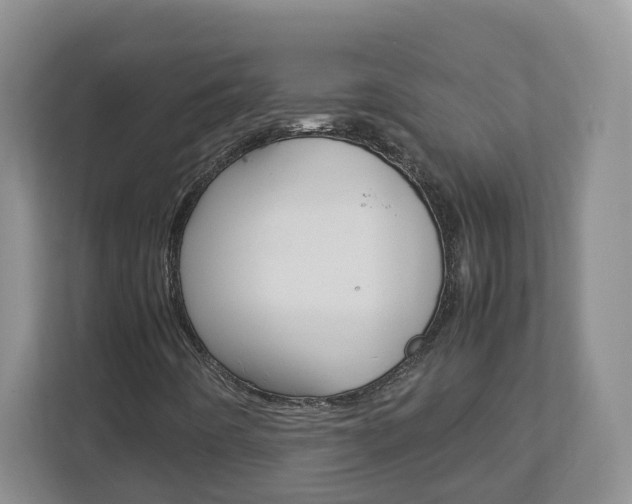 X0000113011442200908270930