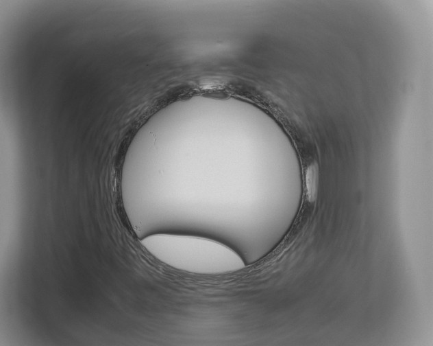 X0000113011443200908270930