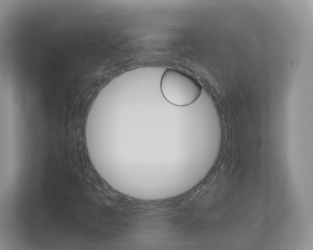 X0000113011445200908270930