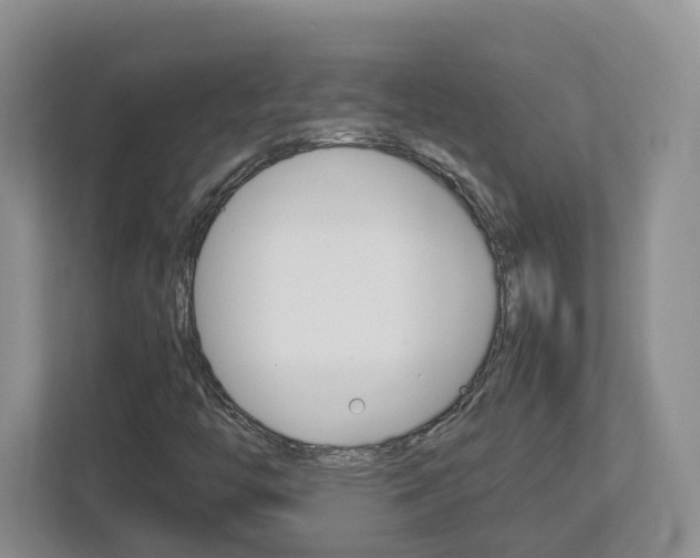 X0000113011446200908270930