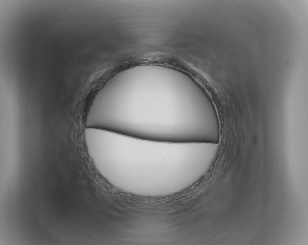 X0000113011447200908270930