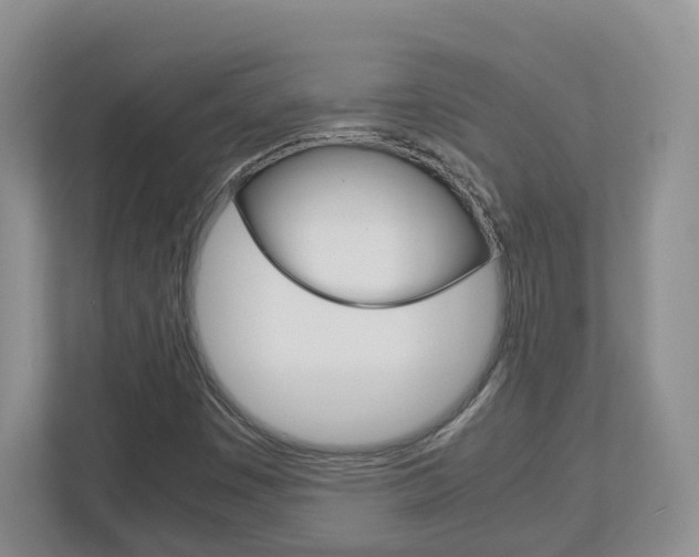 X0000113011449200908270930