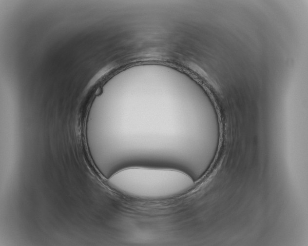 X0000113011450200908270930