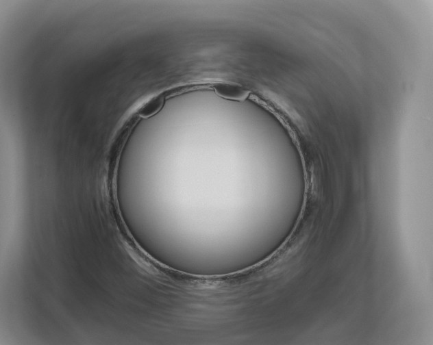 X0000113011452200908270930
