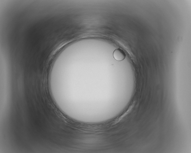 X0000113011453200908270930