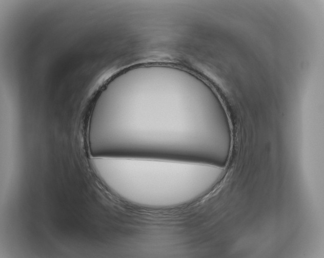 X0000113011455200908270930