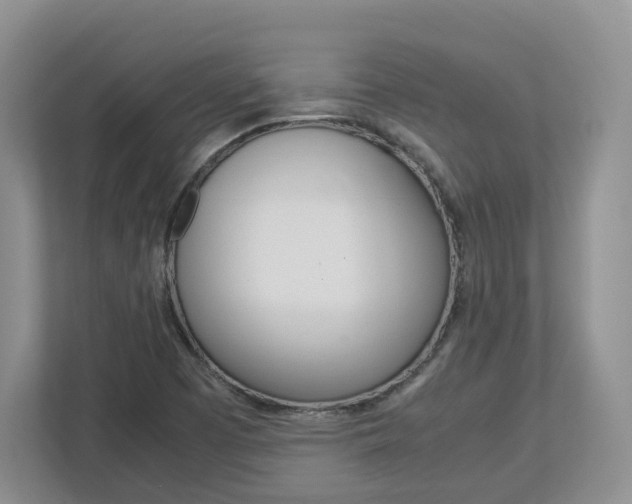 X0000113011457200908270930