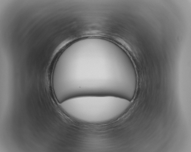 X0000113011458200908270930