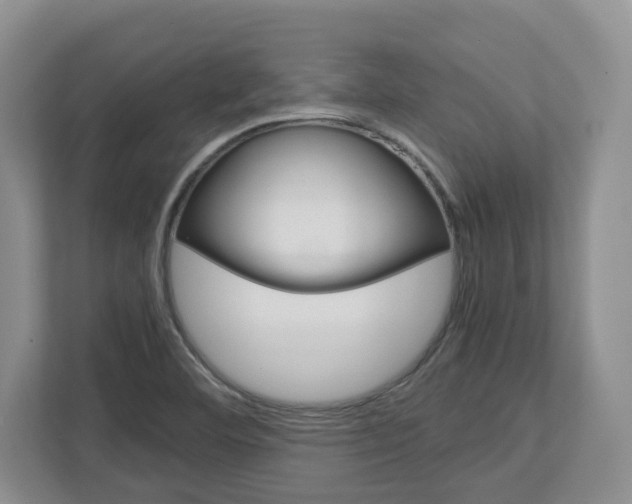 X0000113011460200908270930