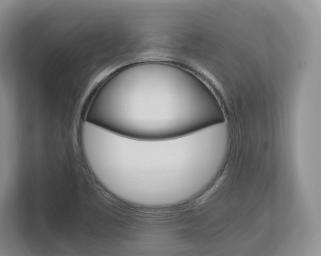 X0000113011461200908270930