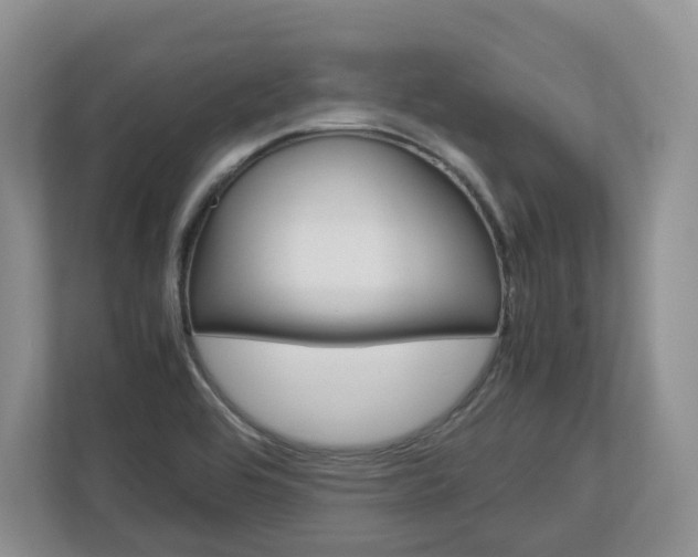 X0000113011464200908270930