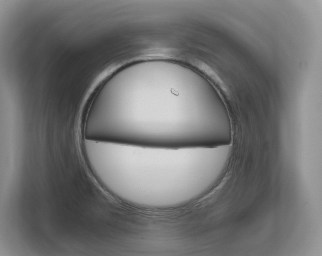 X0000113011469200908270930