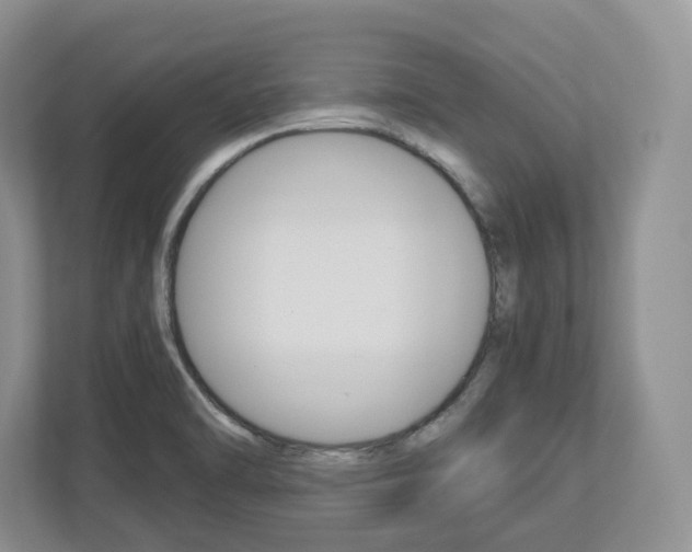 X0000113011470200908270930