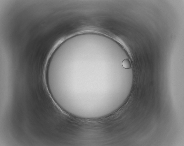 X0000113011472200908270930