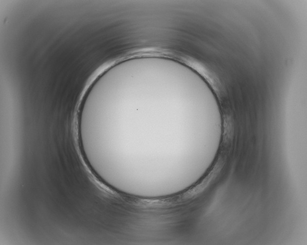 X0000113011474200908270930