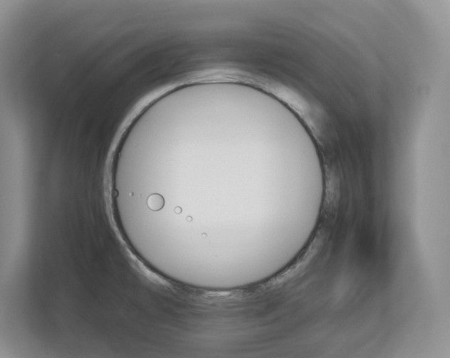 X0000113011478200908270930