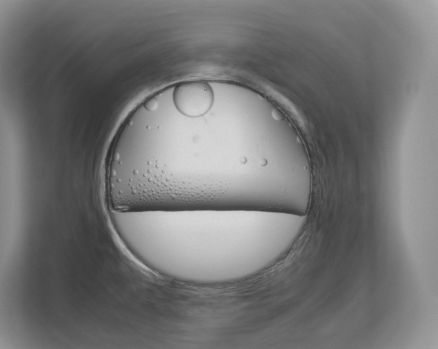 X0000113011479200908270930