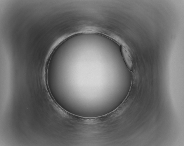 X0000113011480200908270930