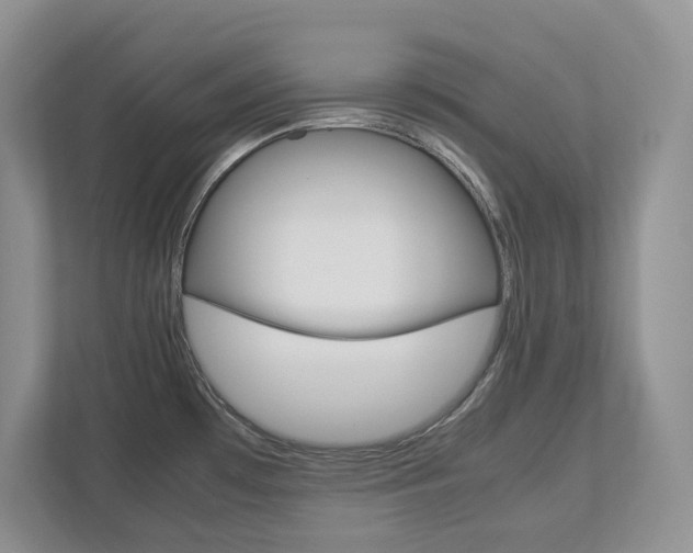X0000113011481200908270930