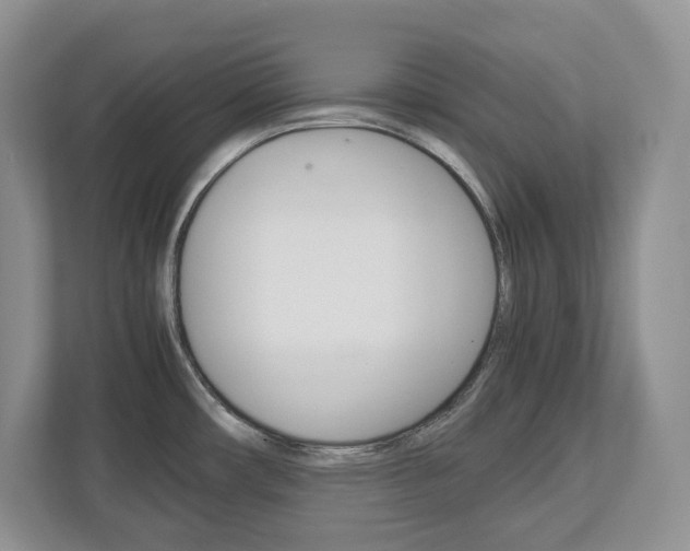 X0000113011482200908270930