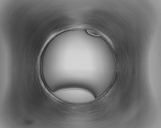 X0000113011483200908270930